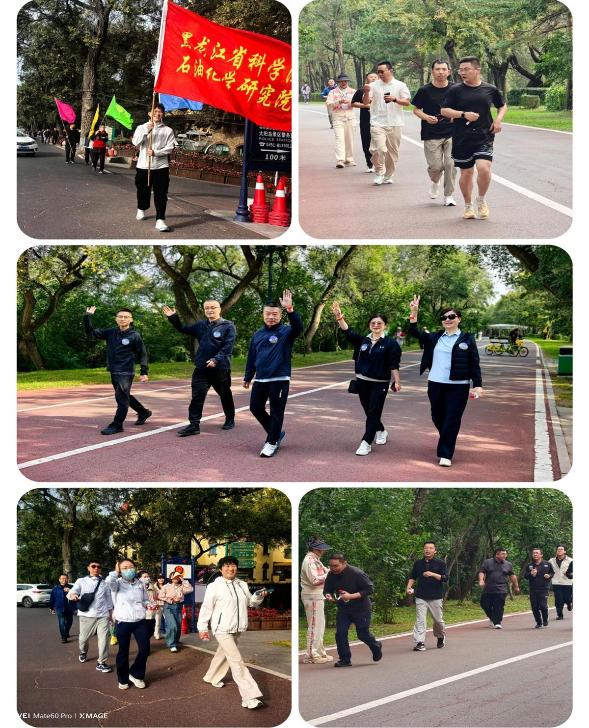 1789722052657732.jpg 1200图片2.jpg